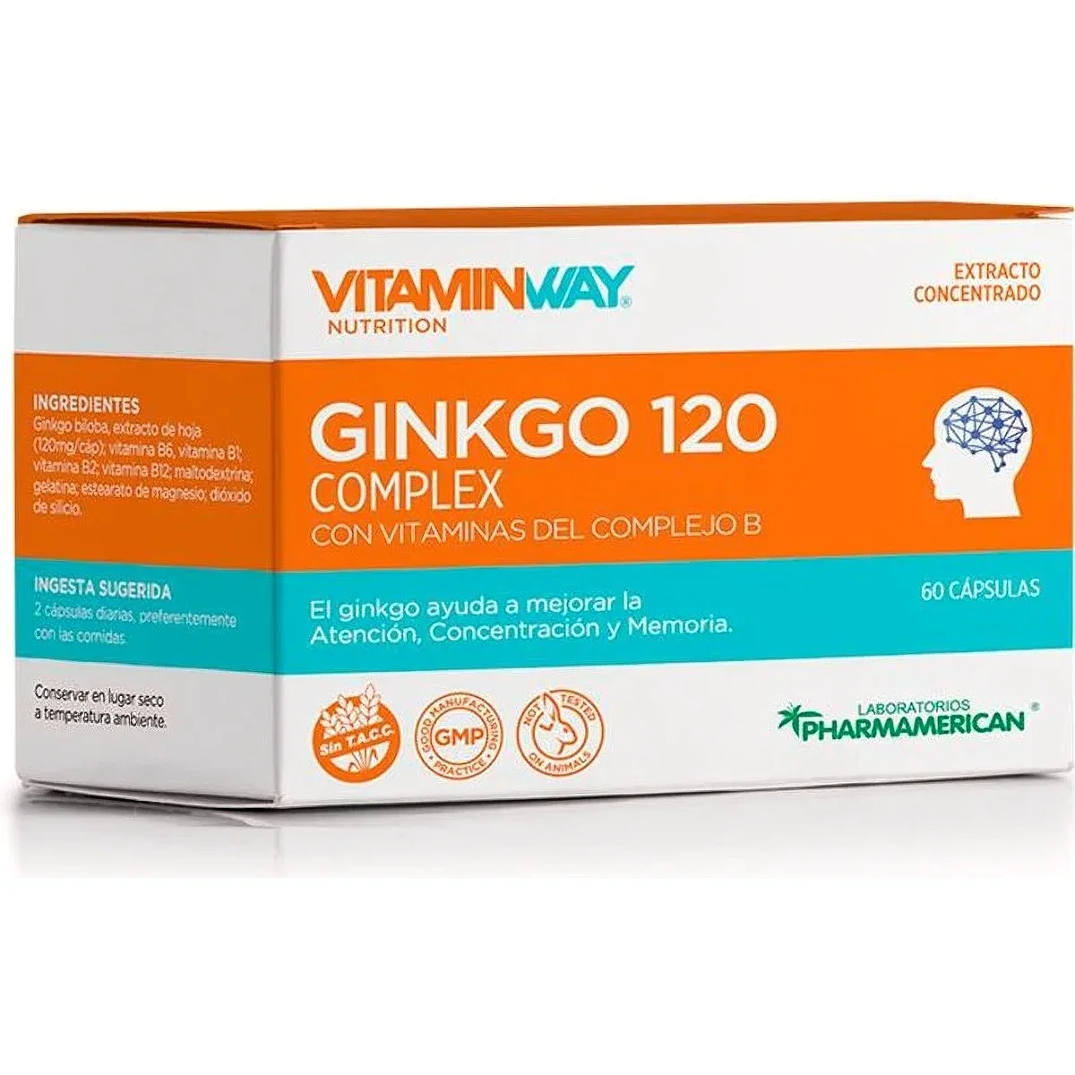 Suplemento Dietario Vitamin Way Ginkgo 120 Complex 60 Cápsulas — foto 1