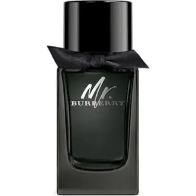 Perfume Burberry Mr Eau de Parfum 100 ml