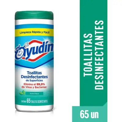 Toallitas Húmedas Desinfectantes Ayudín Fresco x 65