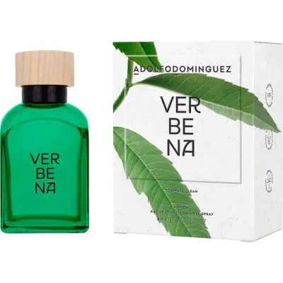 Perfume Adolfo Dominguez Agua Fresca Masculino 120 ml