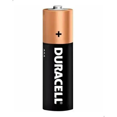Pilas AAA Alcalinas Duracell x 2 unidades